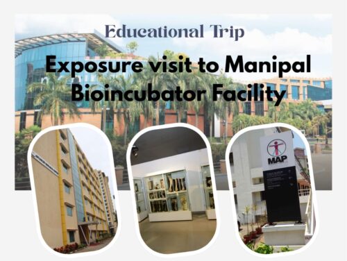 WhatsApp Image 2026-03-11 at 7.45.21 PM (3)